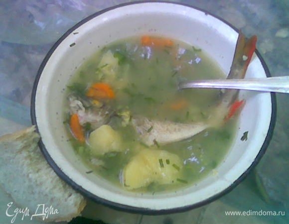 Затем кидаем рыбу, даём закипеть и варим на очень слабом огне до готовности и вставляем в уху веточку из костра (желательно дубовую, но не хвойную!) шоб аж зашкварчало. Кидаем зелень и пусть ещё потомится минут 15-20. Приятного аппетита!!!