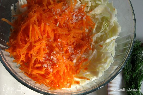 Пока тесто отдыхает в холодильнике, приготовить начинку.Пошинковать тонко капусту, натереть морковь на крупной терке добавить немного соли и хорошо помять руками.