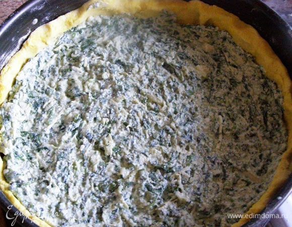 Выложим 1-й шпинатный слой,