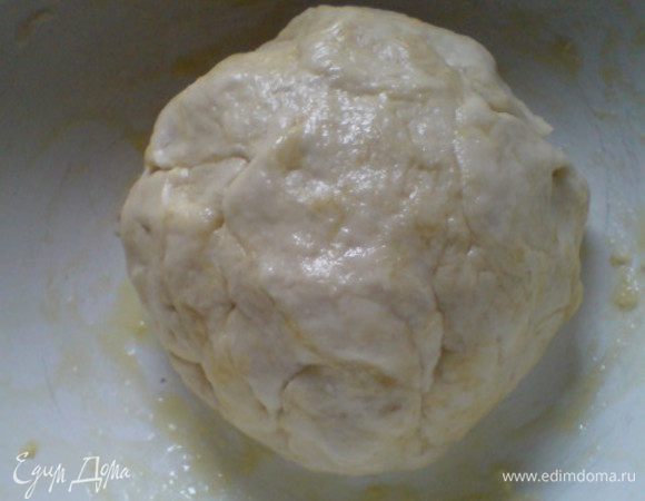 Миску смазать маслом,положить туда тесто,сверху можно тоже немного смазать.Поставить в теплое место на 1-1,5 часа. 