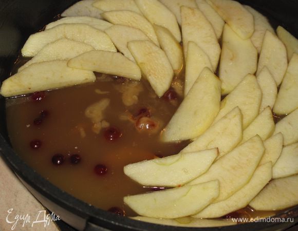 Перелейте её в форму.Посыпте клюквой(если используете),разложите сверху вплотную и внахлёст ломтики яблок.