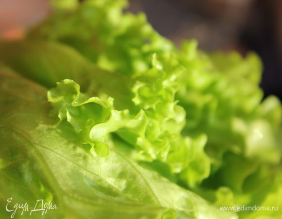 Листья салата помыть, обсушить, порвать руками.