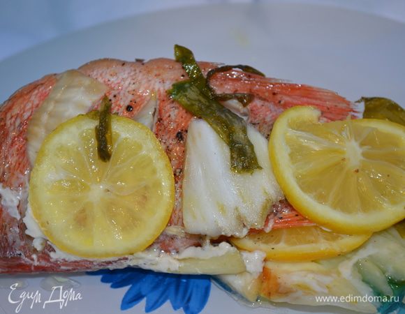 Приготовление: Рыбу почистить, помыть, сделать надрезы на боках. Посолить, поперчить, полить  маслом. Лимоны и фенхель тонко нарезать, по возможности повставлять в надрезы. Зеленый лук крупно порезать и добавить к рыбе. Положить рыбу в карман из фольги и влить в каждый и них по 2 ст.л. вина. Запекать в разогретой до 200 градусов духовке 30 минут. МИР ВАМ!