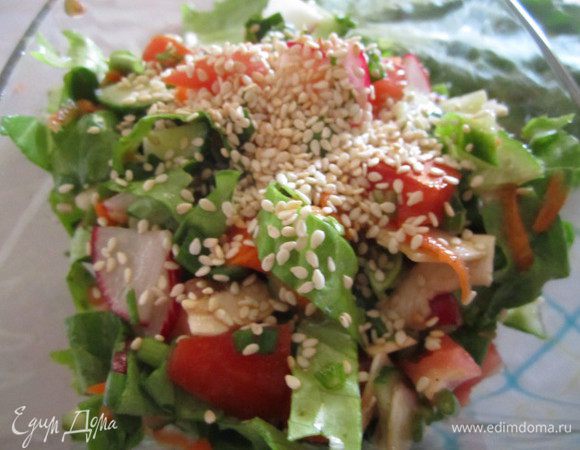 морковку я терла на среднюю терку 
редиску.огурец-четвертинками 
-помидор-кубиками 
-чеснок выдавила.. 
порезать зелень, овощи,чуть-чуть сока лимона, посолить, поперчить, выдавить чеснок, хорошо перемешать, добавить масло, и посыпать кунжутом 
(задумка была сделать с сухарями из черного хлеба, но под руку попался кунжут..и планы поменялись..с сухарями будет в следующий раз)  
очень вкусно и полезно. 


Приятного аппетита и хорошего весеннего настроения