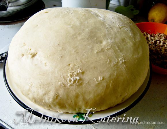 Поставить тесто в теплое место примерно на час, оно должно увеличиться как минимум вдвое. 