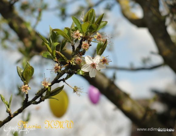 ...и радостного праздника!