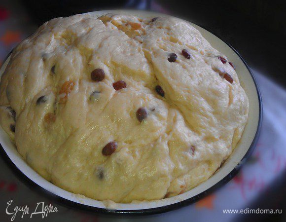 Подошедшее тесто обмять и ввести изюм, тщательно вымешать чтобы изюм распределился по всему тесту и снова поставить тесто подходить на 30-60 минут.