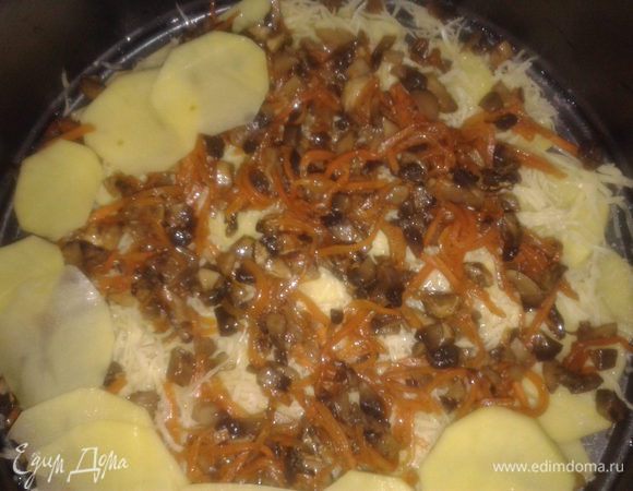 выложить слой начинки из грибов и моркови

