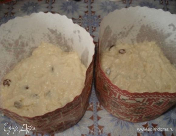 Выложить тесто в подготовленные формы и поставить в теплое место на 30 минут, чтобы тесто немного подошло.