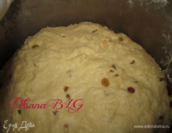 В готовую опару вбить яйца, добавить сахар, растопленный маргарин, растительное масло, соль, ваниль и изюм(изюм кто как любит, кто меньше кто больше,)). Добавить муку. Муку добавлять постепенно, чтобы тесто не было сильно тугим. Тесто должно не липнуть к рукам и при этом оставаться мягким и пышным. Посуду с тестом накрыть полотенцем и оставить в теплом месте. Тесто должно подойти.