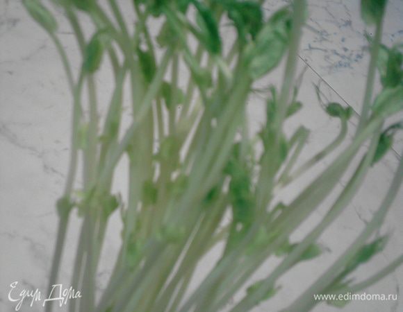 Интересно: Проростки зеленого горошка – легко усвояемы человеческим организмом и содержат в несколько раз больше витаминов, чем сами семена. Они богаты содержащимся в них хлорофиллом, который способствует эффективной работе желудочно-кишечного тракта, играет роль в защитных свойствах человеческого организма, снижает содержание холестерина и сахара в крови.