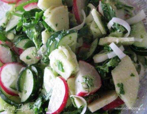 Редис и огурец нарезаем тонкими кружочками или полукружочками. Яблоко чистим, режем на 4-6 частей, удаляем семена, нарезаем тонкими ломтиками, взбрызгиваем лимонным соком. Руколу (или др. салат) вымыть, обсушить, разобрать на веточки. Все смешать с заправкой. Заправка - йогурт, зубчик чеснока, укроп и соль соединить в блендере. Приятного аппетита!