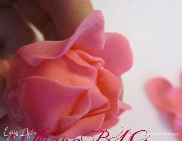 На шарик-основу прикрепить 4-6 маленьких лепестков.