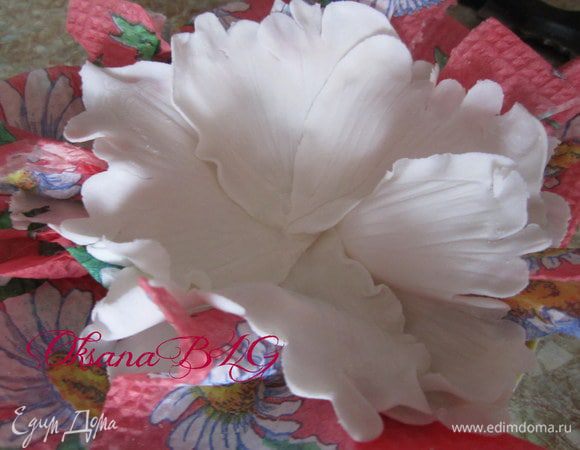 Для второго варианта пиона, приготовить основу из двух слоев  по 4 лепестка.