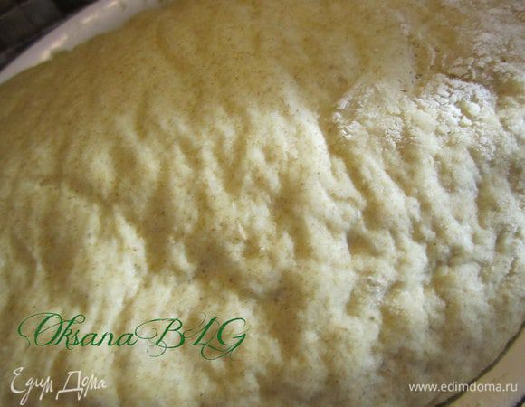 Поставить в глубокую посуду, накрыть полотенцем. Тесту нужно дать три раза подойти., то есть примерно через час первый раз подмесить, затем по мере роста теста повторить два раза. Тесто должно увеличиваться примерно в три раза.