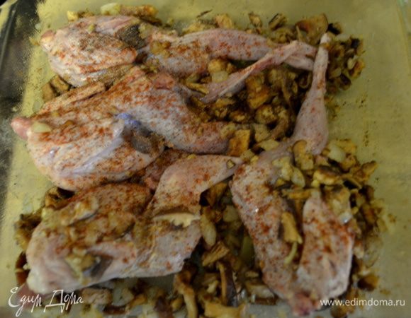 Выложить на перепелок весь микс.Присыпать паприкой на каждую птицу.Поставить в духовку на 5мин.
Затем убавить огонь до 180гр и поставить вновь перепелок на 10мин.