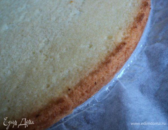 Дно формы для выпечки ( 24см) застелить бумагой для выпечки, смазать маслом, вылить тесто, покрутить форму по часовой стрелке. Выпекать при температуре 170 градусов 15-20мин. Охладить , перевернув бисквит на решетку. 