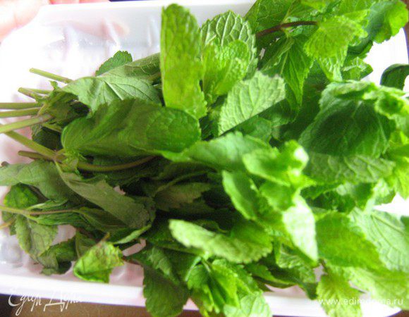 Орехи, огурец, мяту и чеснок сложить в большую миску, посолить,поперчить, перемешать. Охлаждённый кефир смешать с холодной газированной водой, добавить эту смесь в миску. 