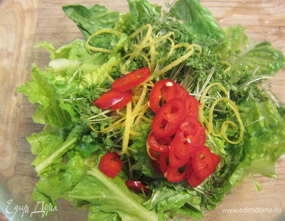 Для гарнира я использовал половину салата Романо. Порвите его на части, добавьте острый перец, порезанный колечками, молодой кресс-салат, немного соли, черный перец.