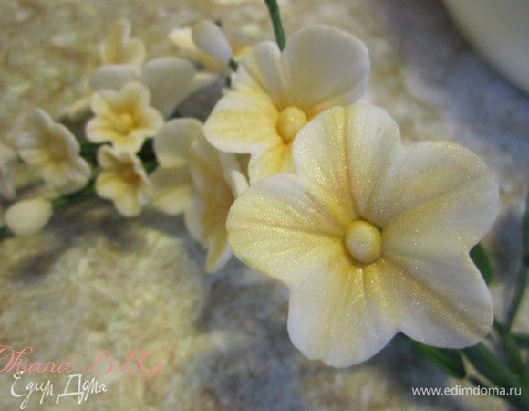 И сахарные цветы. Это мое новое увлечение, как только немного научусь сама, начну делится и с вами опытом.)