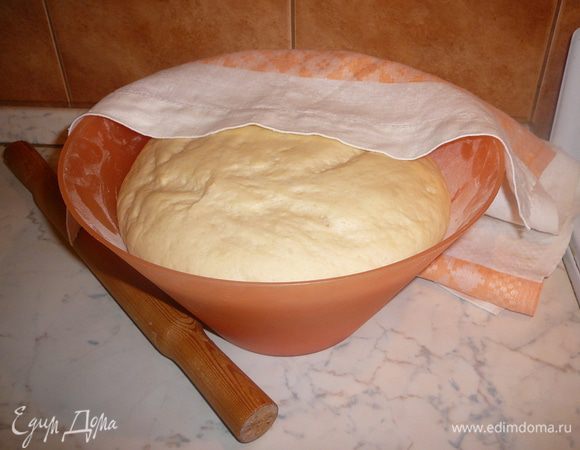 В стакане теплой воды растворить сахар и дрожжи, хорошенько размешать и дать постоять 15-20 минут, пока не образуется пышная шапочка. В большую миску выливаем опару, картофельное пюре, солим и начинаем вымешивать тесто, постепенно добавляя просеянную муку… В самом конце, когда тесто готово, добавить оливковое масло и еще раз хорошо вымесить.Положить тесто в миску, смазанную оливковым маслом и поставить в теплое место на 40-60 минут, так чтобы тесто увеличилось в объеме в 2 раза. Я пленкой не затягиваю, а накрываю миску с тестом льняным полотенцем.