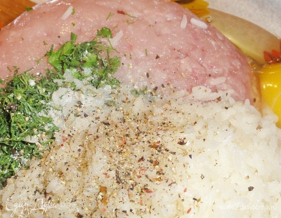 Смешаем мясо курицы с рисом, яйцом, солью, перцем, мелко рубленой зеленью петрушки и укропа. 