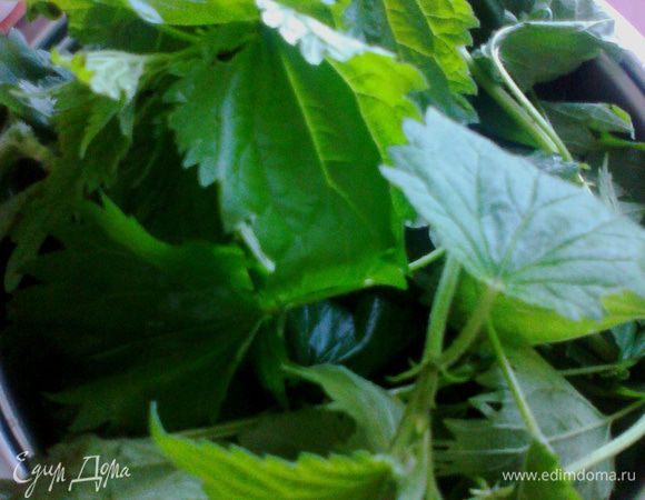 Принесли,промыли-прополоскали в двух тазах,внимательно проверяя,не занесли ли мы случайно улиток(мне попалась парочка).Дать стечь лишней воде.