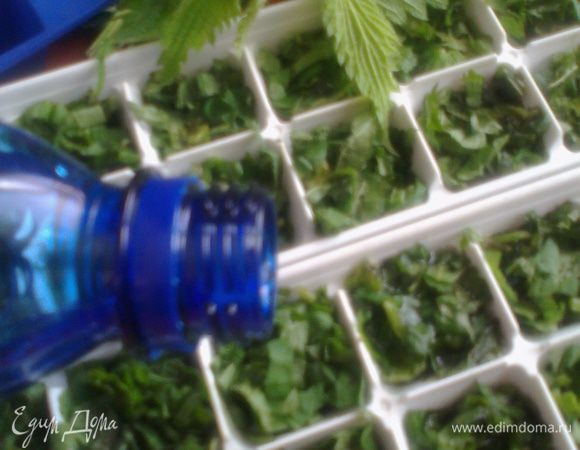 Теперь нужно залить ячейки обязательно кипячёной водой комнатной температуры.Это можно сделать с помощью бутылки...