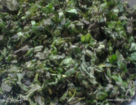 Часть крапивы можно насушить,оставив в больших блюдах и переворачивая до полного высыхания.