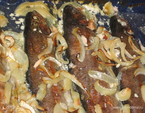 Рыбу очистить, промыть, посолить, поперчить и выложить на противень. В брюшко каждой рыбы вложить лавровый лист, зерна кориандра, душистый перец. Лук порезать перышками и посыпать им рыбу. Сметану развести водой, посолить, поперчить и залить рыбу с луком. Поставить противень в разогретый до 250 гр. духовой шкаф на 30 минут 