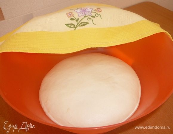 Тесто положить в чашку и накрыть полотенцем. Дать подняться в течение часа. Когда тесто поднимется, обмять и оставить еще на 30 минут.