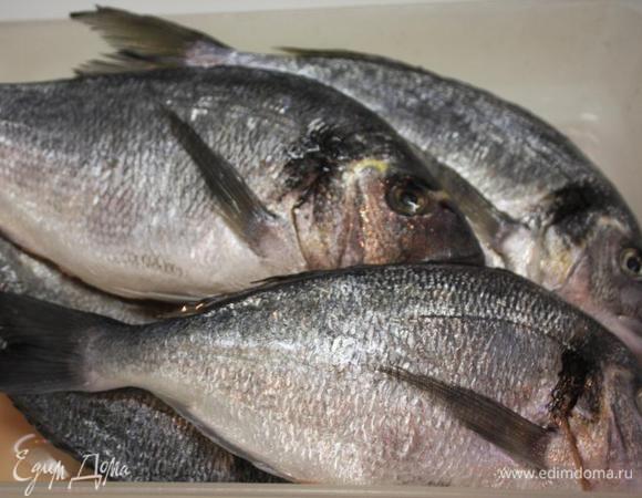 Выкладываем в посуду- мне хватило пластиковой емкости "формата А4"