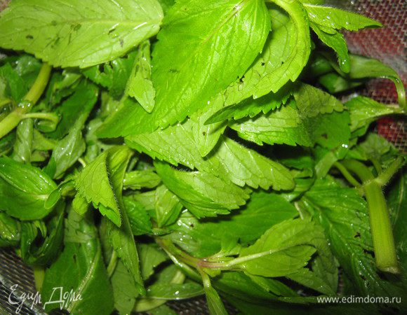 Моем мяту и даем стечь воде.