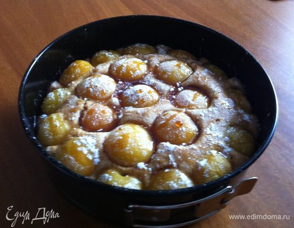 Сливочное масло взбить с медом, добавить желтки и еще раз взбить. Белки взбить с лимонным соком до густой пены. Разрыхлитель смешать с мукой, добавить сливочно- медовую смесь, перемешать лопаткой. Добавить взбитые белки и еще раз перемешать. Тесто выложить в смазанную маслом форму. Абрикосы разделить на половинки, выложить сверху, немного утопив в тесто. Выпекать 30-35 минут при температуре 180 градусов. Полить сверху растопленным медом и посыпать сахарной пудрой