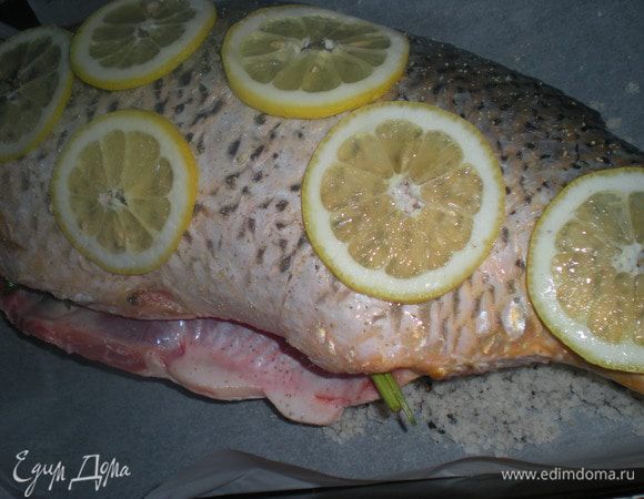 На слой соли уложить карпа.На него выложить несколько кружков лимона.