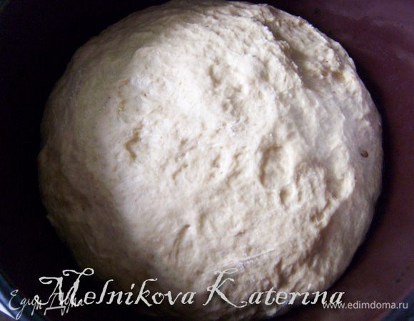 Смазать глубокую тару растительным маслом, положить тесто, обернуть тару пищевой пленкой и поставить 1 час в теплое и укромное место. 