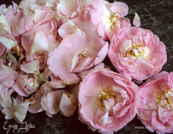 Розу для варенья необходимо собирать утром, когда она особенно ароматна. 