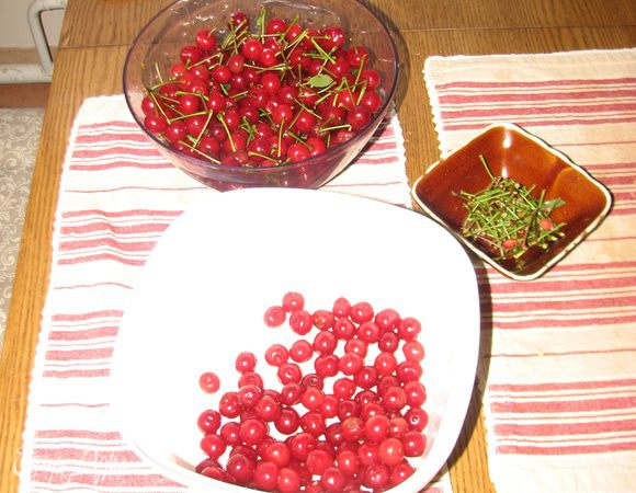 Вишню помыть и очистить от хвостиков