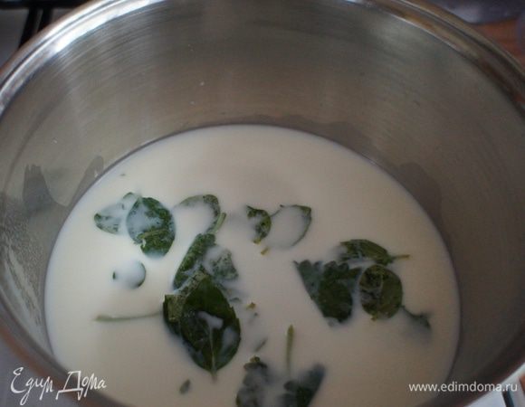 В кастрюльку налить молоко и положить в него мяту. Дать закипеть. Снять с огня и оставить настаиваться ~ на 1 час. Затем процедить.