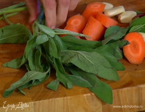 У шалфея срезать грубые стебли и сохранить их.