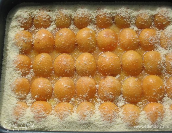 Оставшуюся крошку теста посыпать по краю пирога и выровнять по всему периметру формы, чтобы во время приготовления сок не вытекал