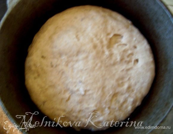 Положить тесто в глубокую тару, смазанную растительным маслом и оставить на 1 час в теплом и укромном месте для подхода. 