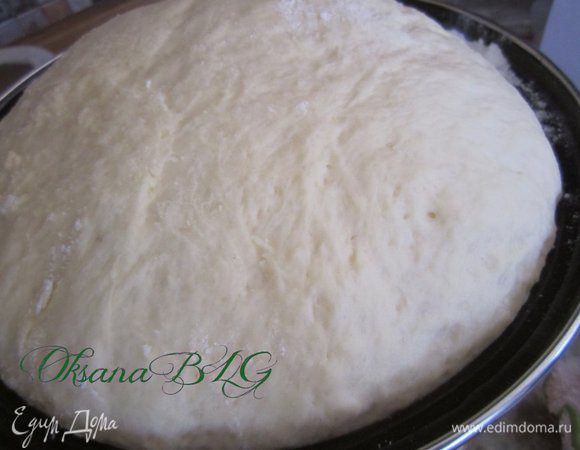 Тесто поставьте в глубокую посуду, накройте полотенцем, оставьте на 1 час. Тесто должно увеличиться в 2 раза.