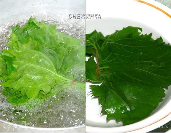 Теперь пучок шпината опускаем на 1 минуту в кипящую подсоленную воду, затем сразу же достаем в емкость с холодной водой.