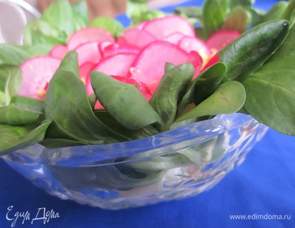 Для украшения я использовала редис, окрашенный в соке свёклы, желток и салат Корн. 