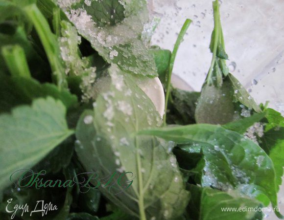 Мяту и шпинат вымыть, поместить в блендер добавить 1 ст.л. сахара и 1 ст. л. воды, взбить.