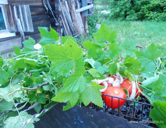 Мясо одеваем на шампуры,помидорчики на решётку,накрываем листвой смородины,