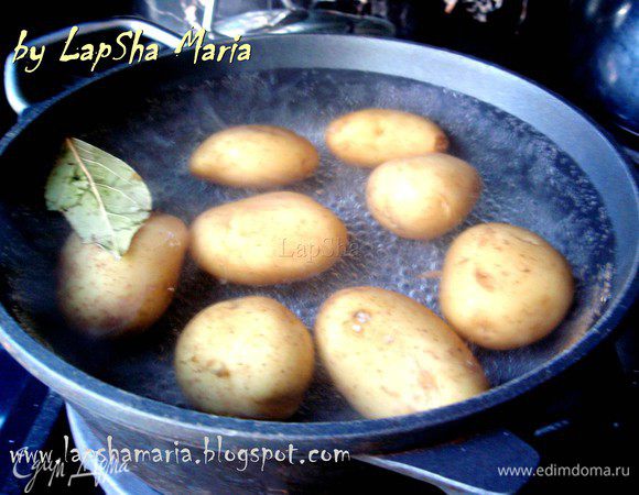 Картофель отварить до готовности в соленной воде с добавлением лаврового листика. Слить воду и вернуть кастрюльку на огонь, подержать пол минуты, встряхнуть кастрюлю и подержать ещё пол минуты. Эти манипуляции нужны для того, чтобы из картофеля вышла лишняя влага. Оставляем картофель остывать, для ускорения этого процесса можно его разрезать на половинки. 