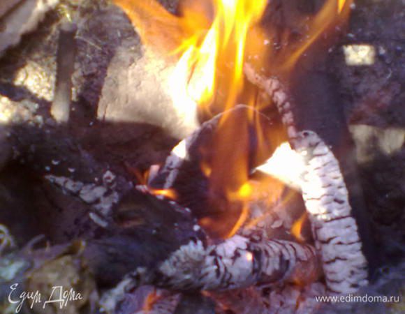 Жарить на мангале до готовности.