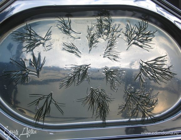 Пласт 2: сироп подогреть, растворить в нем 3 пластинки желатина, вылить в плоскую форму, разложить листики укропа и поставить в холодильник на 1-2 часа.  